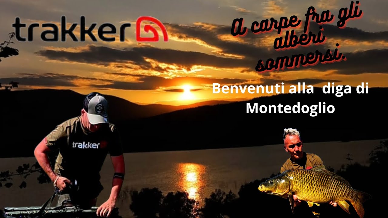 A carpe fra gli alberi sommersi della diga di Montedoglio 