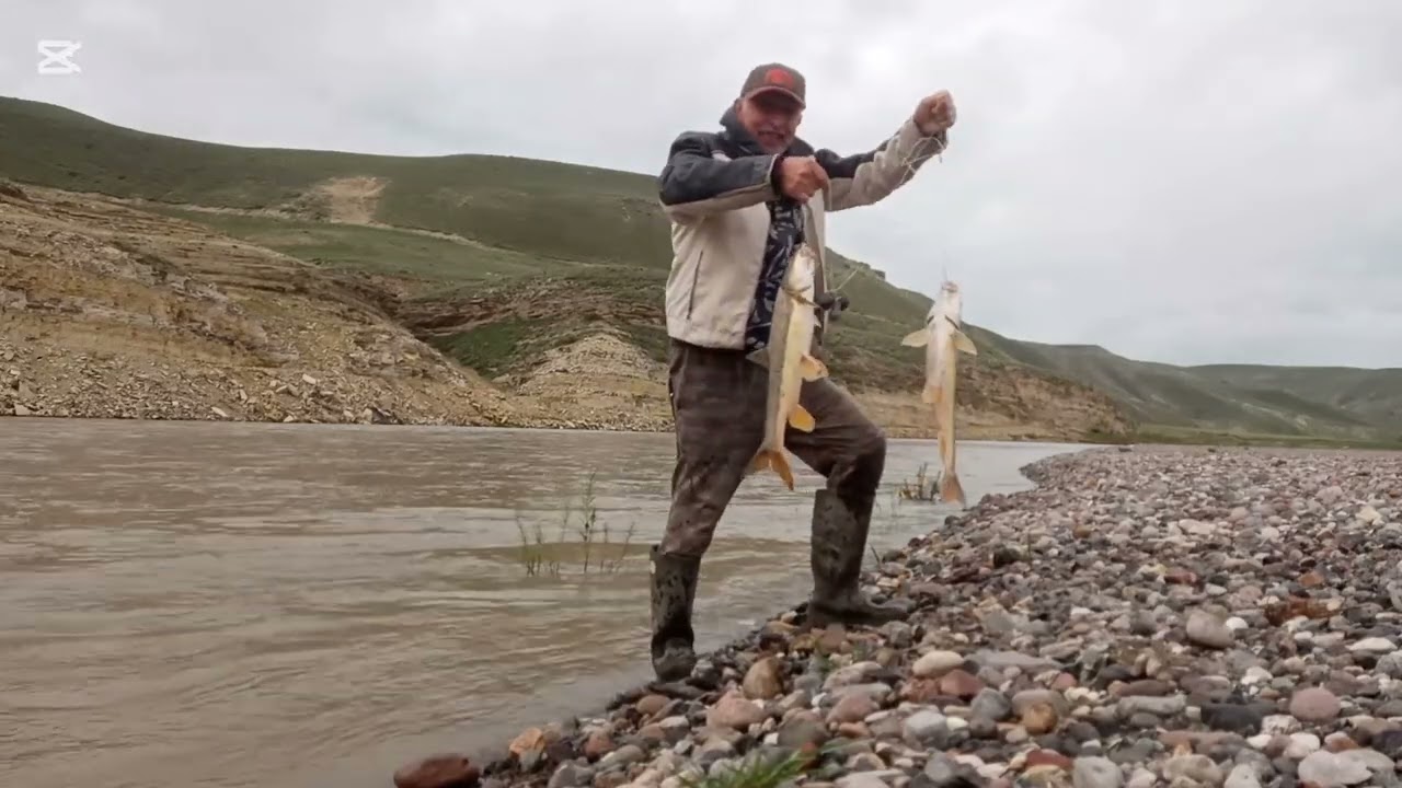ARAS NEHRİ BALIK BEREKETI