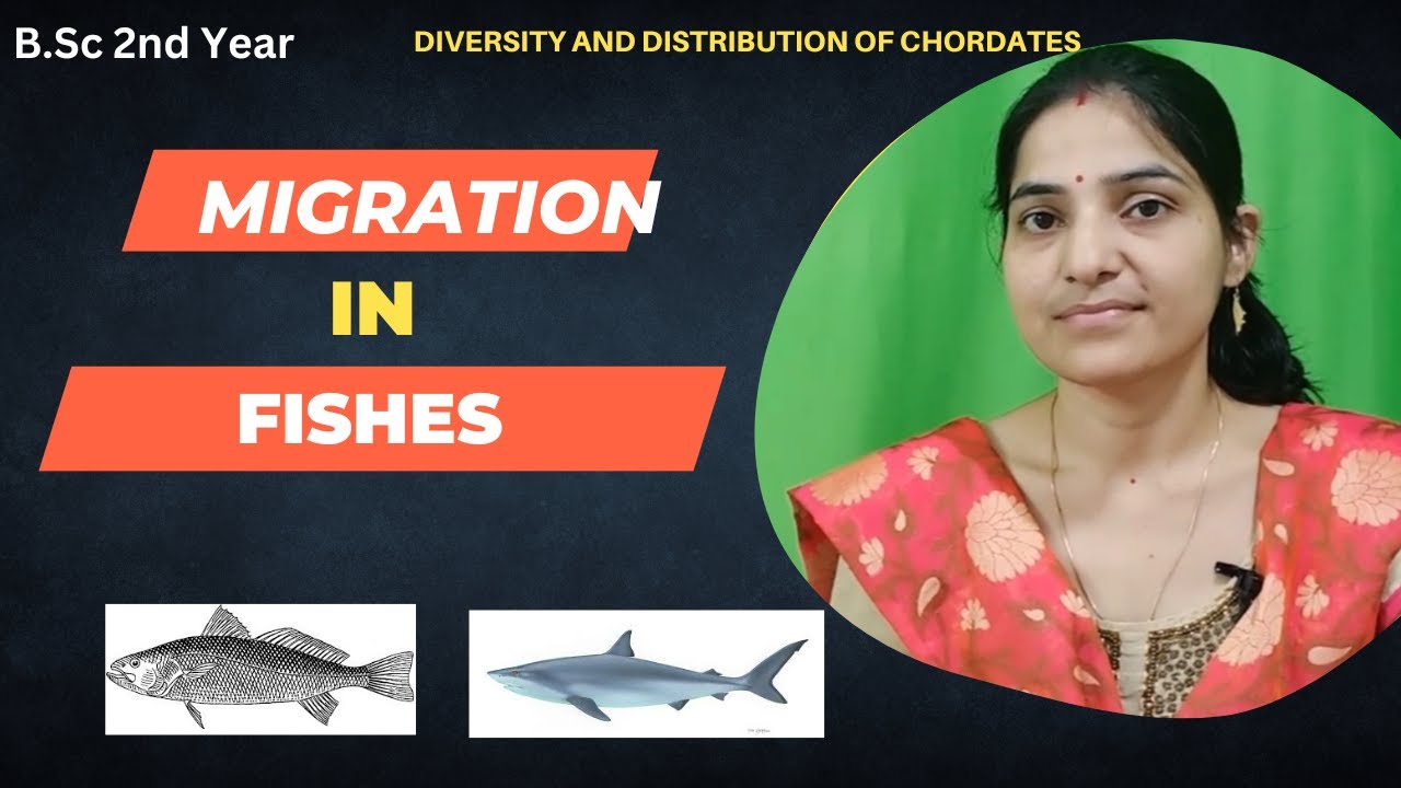 Fish Migration B.Sc 2nd Year||