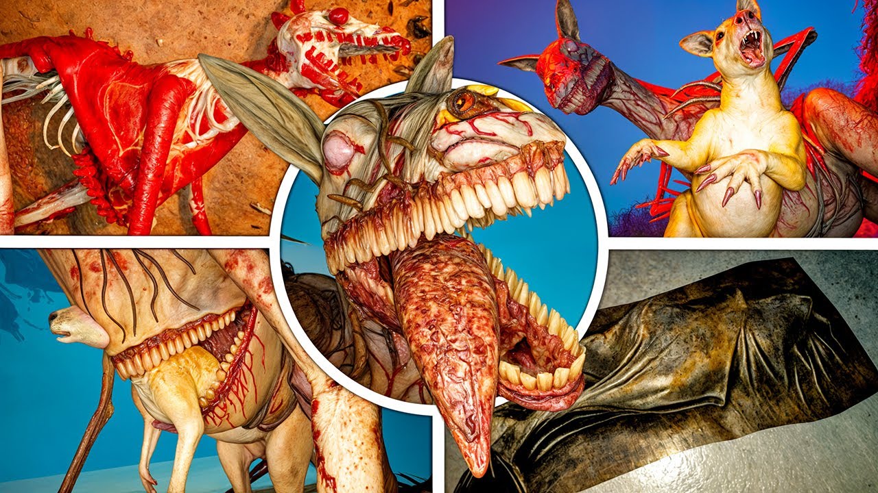 ZOOCHOSIS - All Wallaby Secret Cutscenes (Full Bright Mode)