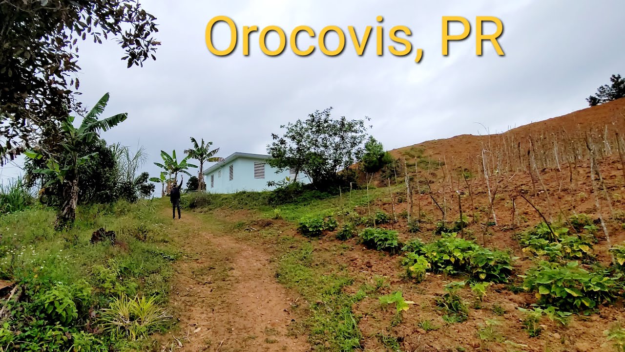 Orocovis | Visito finca | Agricultura en Puerto Rico