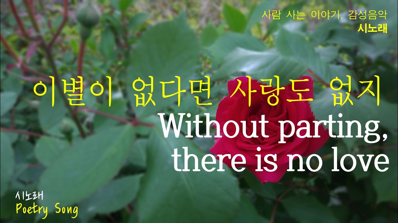 이별이 없다면 사랑도 없지 | 감성시노래(백탄)#시노래(Poetry Songs)#이별의노래1#시와음악#감성음악#한국 시노래 (Korean Poetry Songs)
