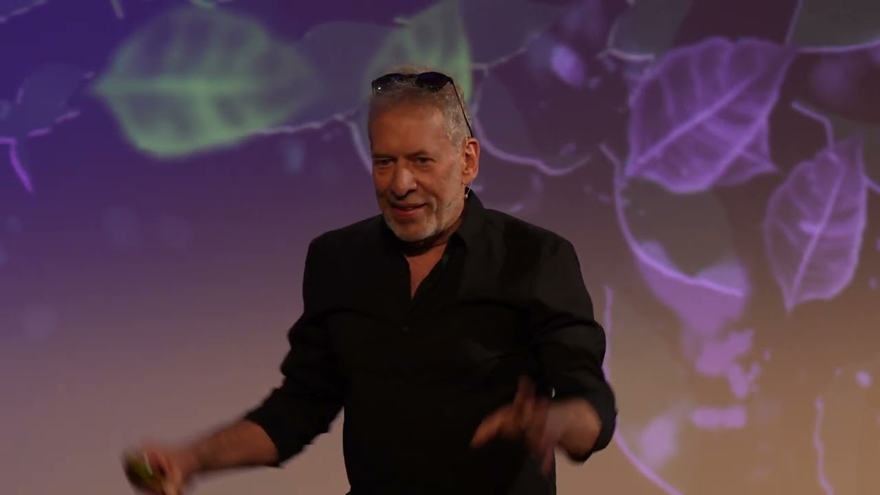 Matter and Antimatter | Prof. Jeffrey S. Hangst | TEDxDanubia