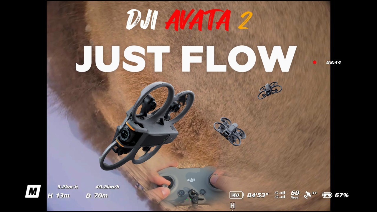 Just Flow | AVATA2 Freestyle | DJI AVATA2 FPV | Manual mode | One Take | NOSTAB | Stick Cam