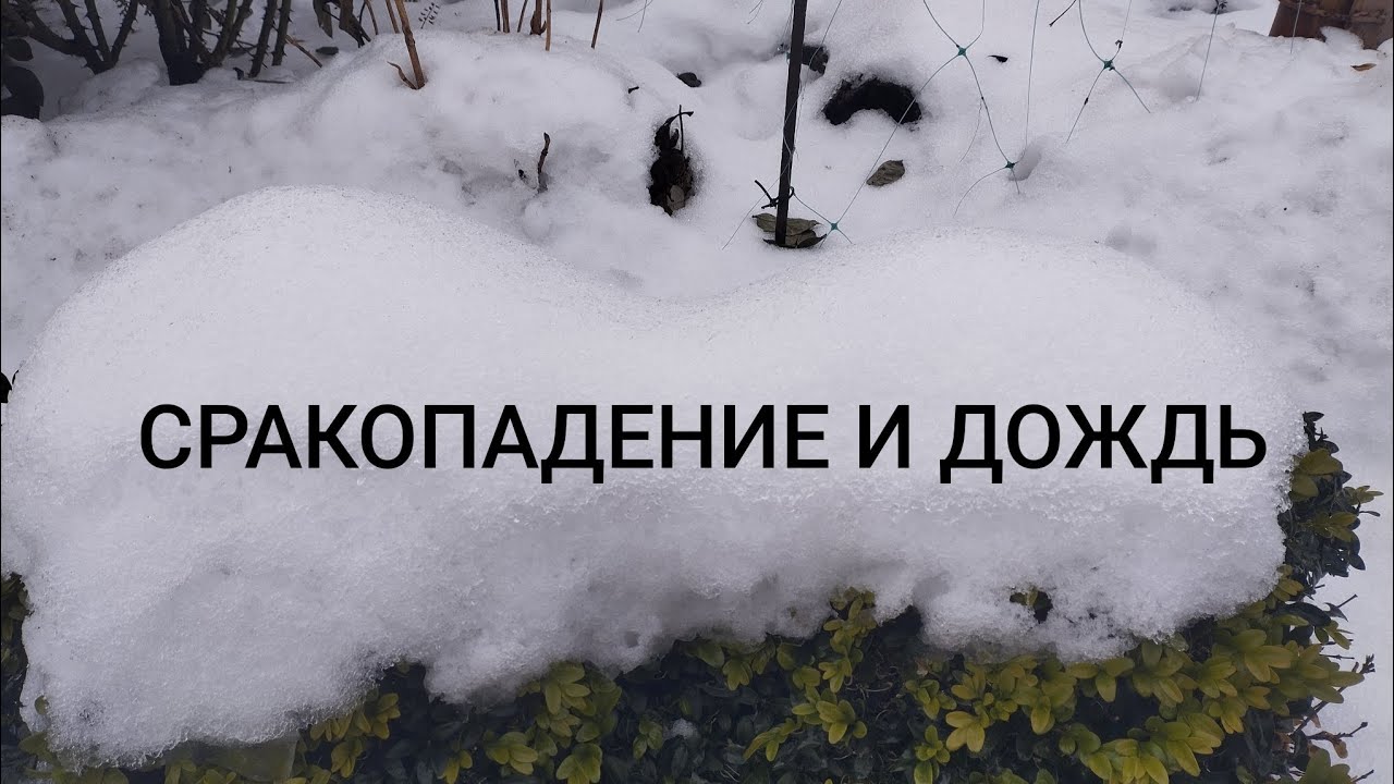 🤯😱🤕СРАКОПАДЕНИЕ И ДОЖДЬ.🤯😱В ДОБРЫЙ ПУТЬ!🤯😩