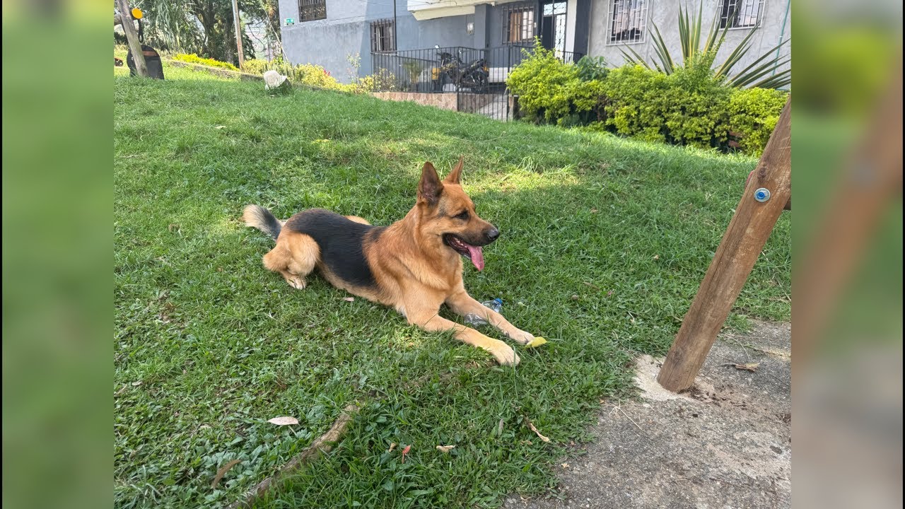 KATHE  Y  APOLO está en vivo