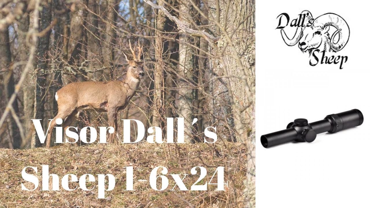 Visor Dall&acute;s Sheep 1-6x24 - Visores de Caza