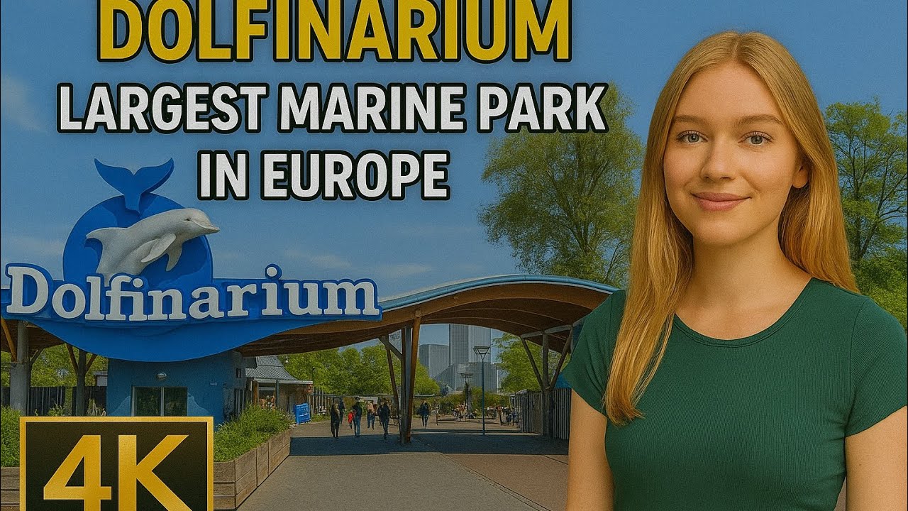 Marine Magic at Dolfinarium Walking Tour 4K 🇳🇱 Netherlands #marveler