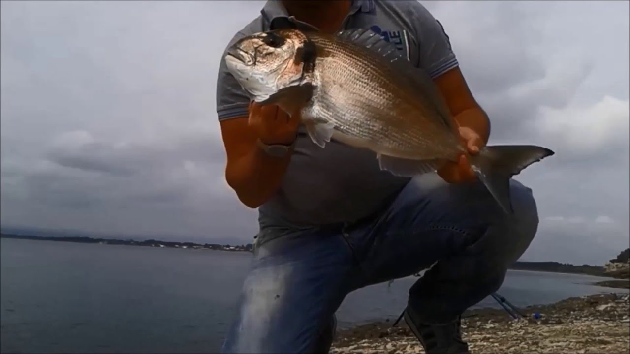 pesca all'orata a rockfishing 2.7 kg pesca de dorada fishing bream sea peche de la daurade Tsipoura