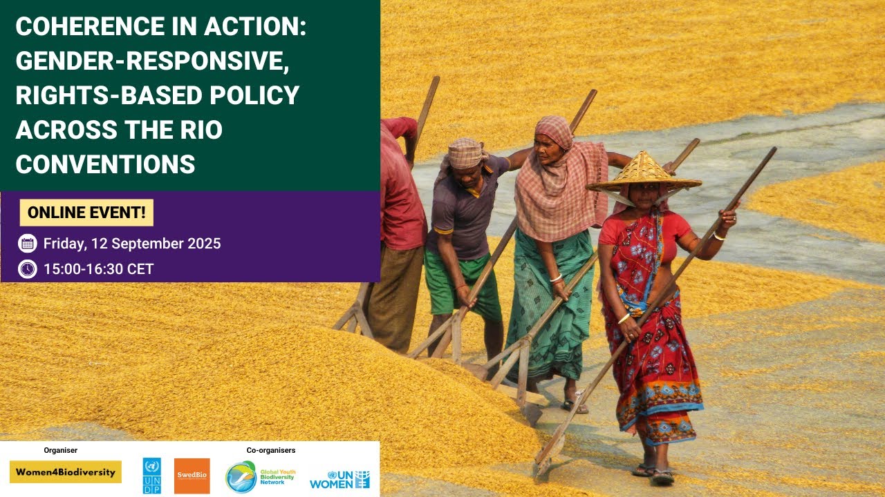 Coherence in Action: Gender-Responsive, Rights-Based Policy Across the Rio Conventions