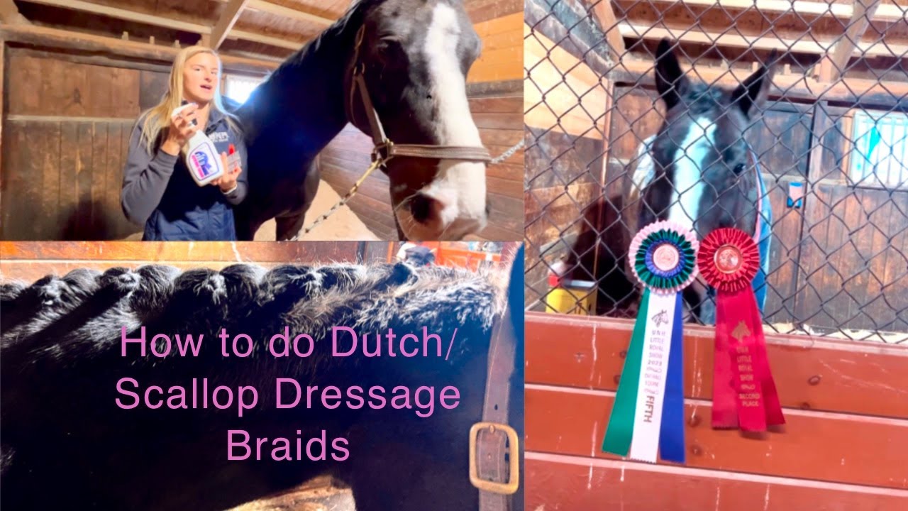 How to do Dutch/Scallop Dressage Braids