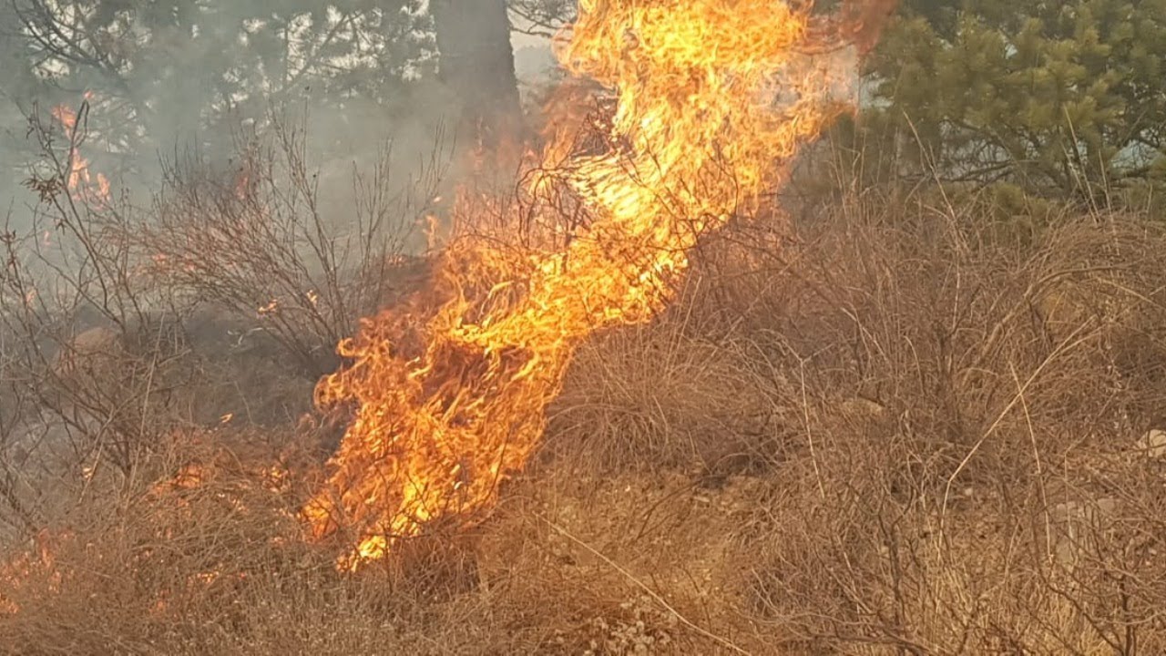 Tardarían hasta 3 semanas en controlar incendio en Santiago | Monterrey