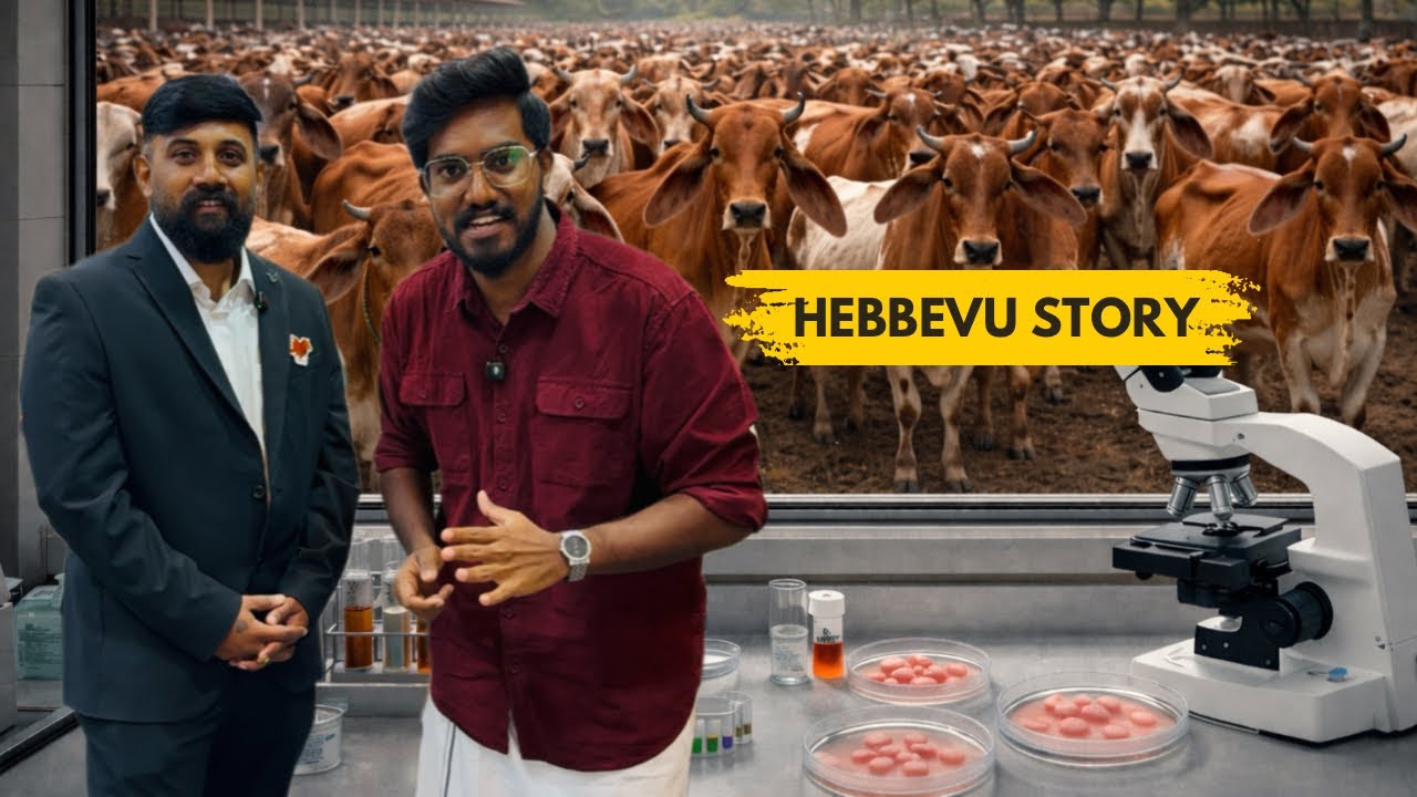 Современное ЭКО 🧬🐄 Революция в животноводстве в Индии 🇮🇳 | Hebbevu Genetics | AgroTill | #сельско...