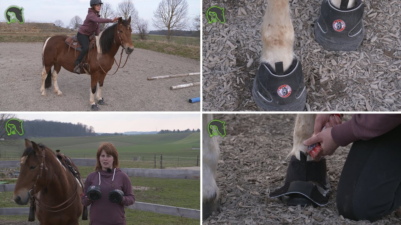 Hufschuhe Teil II V1