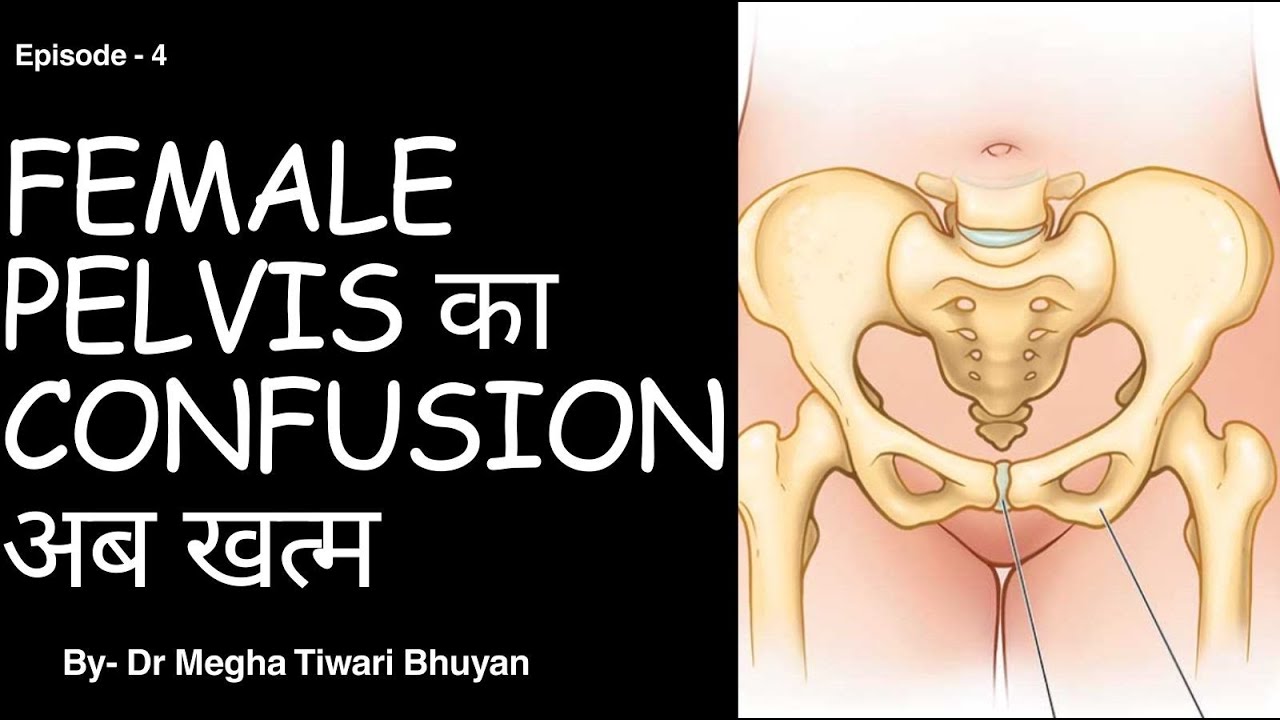 Female Pelvis,Anatomy of the Female Pelvis,Female Pelvis Anatomy for Medical & Nursing Students