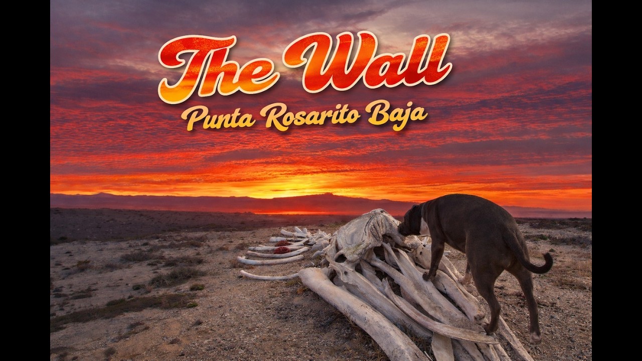 #11 - Punta Rosarito, Baja 