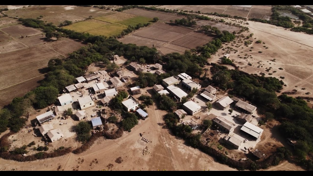 DELTA BLUE CARBON   Protecting Pakistan&rsquo;s Mangroves for Climate, Community, and Biodiversity   Verra