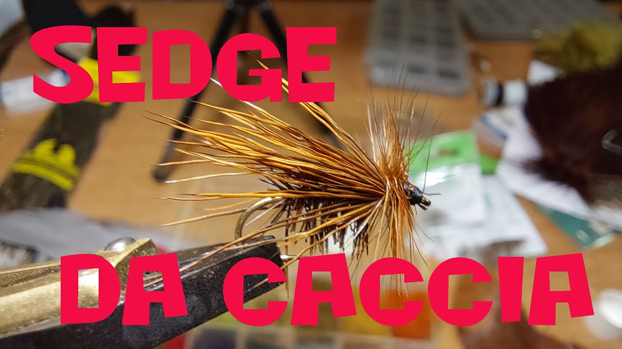 sedge da caccia