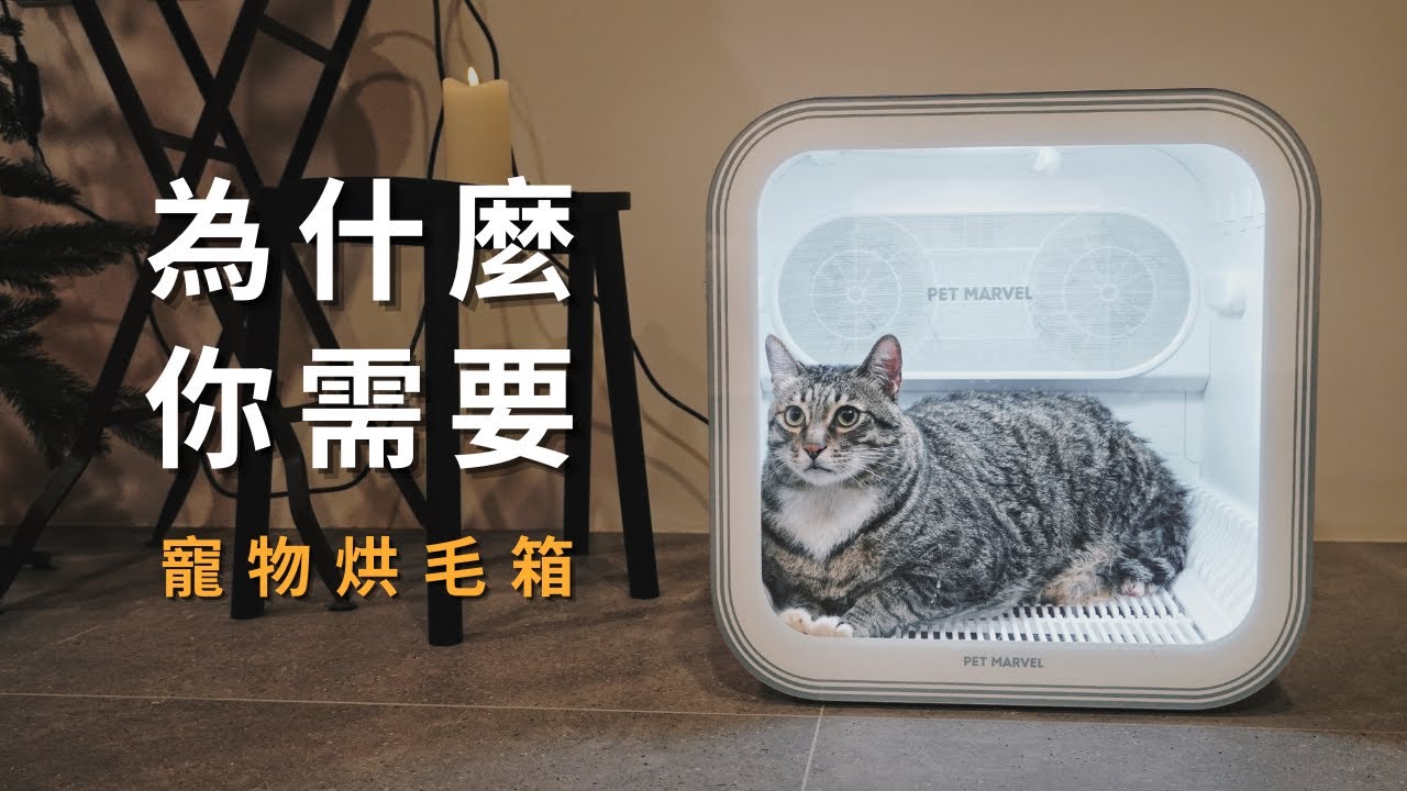 烘乾最快的寵物烘毛箱｜雙馬達高速烘乾，超大空間，簡約設計｜Pet Marvel 寵物烘毛箱H4