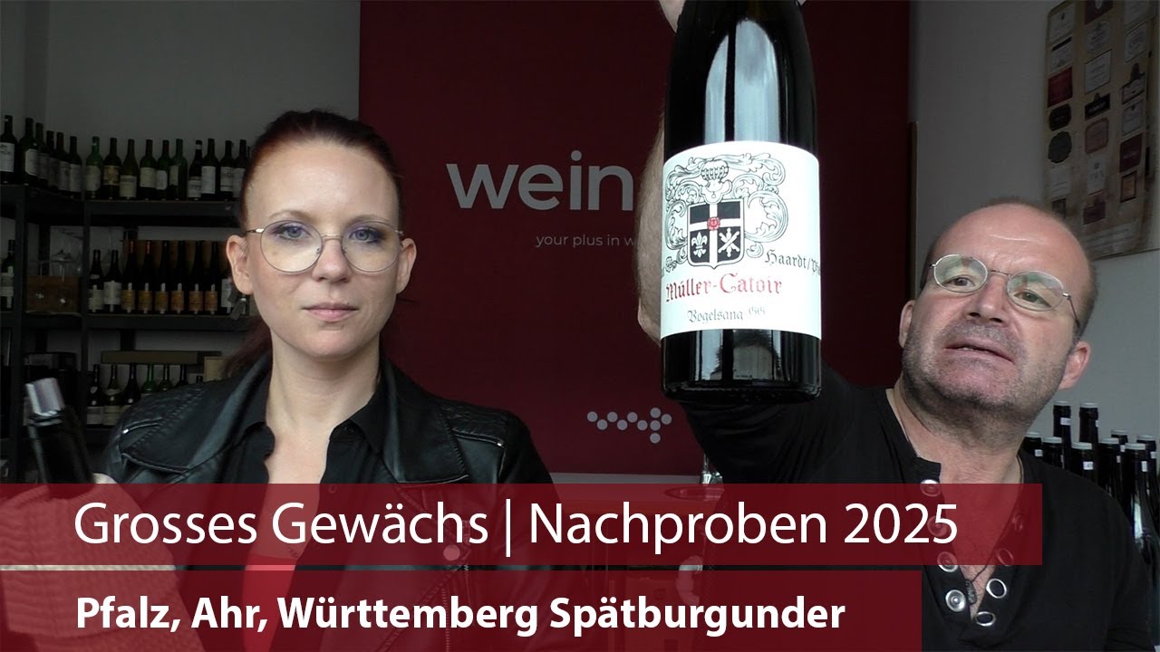 Grosses Gewächs | Nachproben 2025 | Pfalz, Ahr, Württemberg Spätburgunder