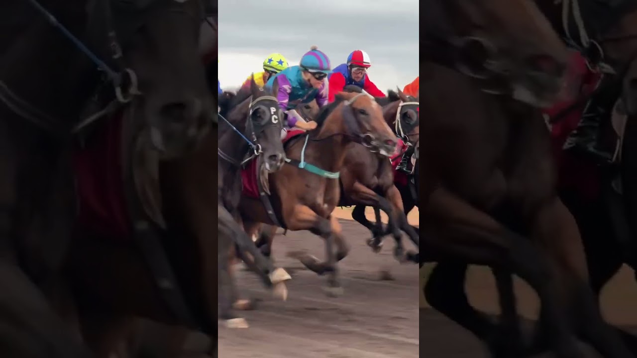 #equitation