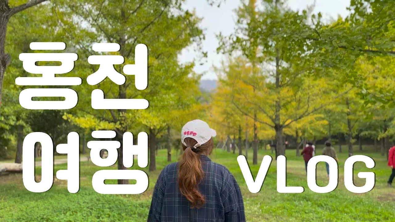강원도 홍천 가을여행VLOG/홍천은행나무숲,삼봉자연휴양림,삼봉약수,수타사,수타사농촌테마공원,궁중닭갈비