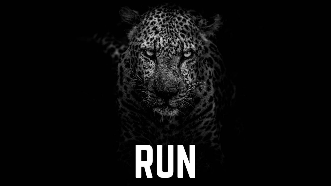 Hard Aggressive Trap Beat | Hard Rap Instrumental 2020 (prod. by rilbeats)