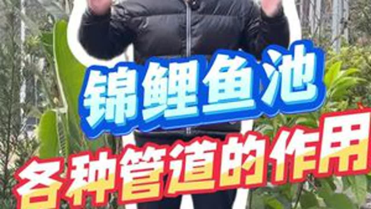 鱼池里面哪些管道是必须，哪些是提供便捷性 视频最后有汇总#锦鲤#鱼池#过滤#新建#管道系统