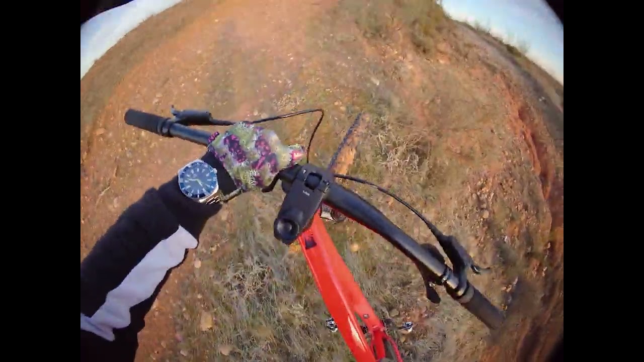 Riding a Technical Descent on a €500 Rockrider