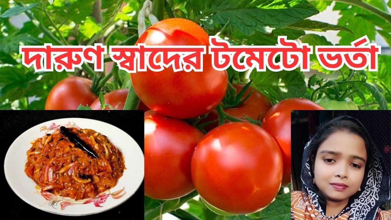 দারুণ স্বাদের টমেটো ভর্তা  রেসিপি /Tomato Vorta/Bangladeshi Vorta Recipe. 