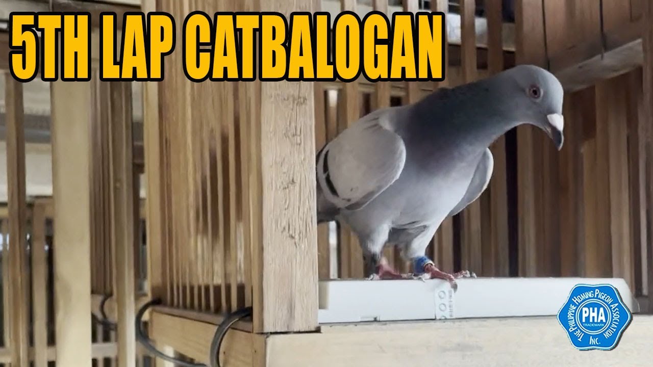 ARRIVAL FROM CATBALOGAN SAMAR