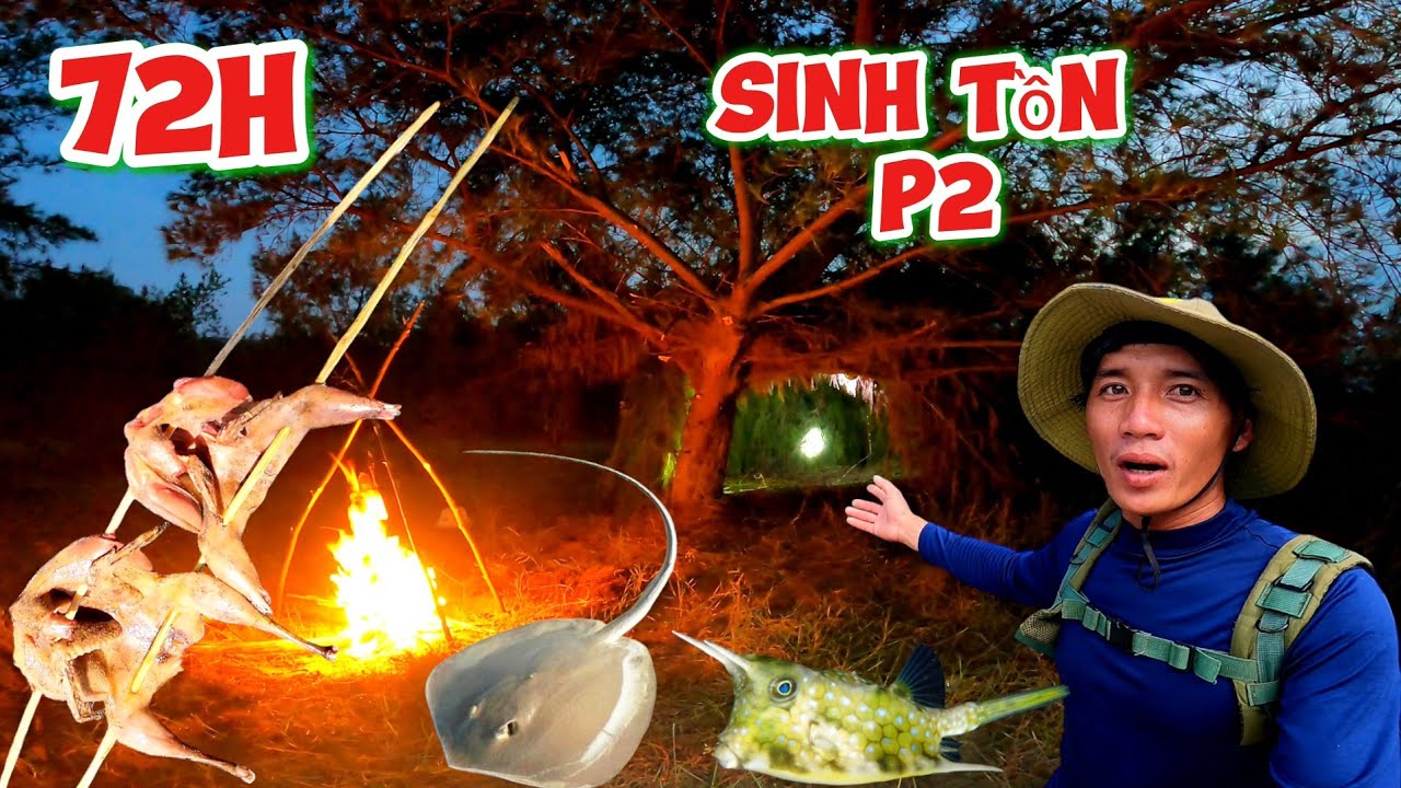 72h sống nơi hoang Dã p2 săn cá đuối bẫy đánh bẫy tìm thức ăn | 3 days of wild forest survival