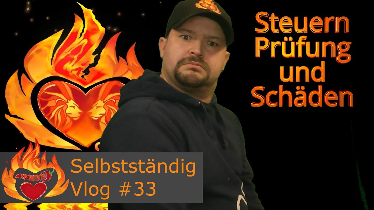 MEIN WEG ZUR SELBSTSTÄNDIGKEIT | VLOG #33 | Steuern, Prüfung, Schäden