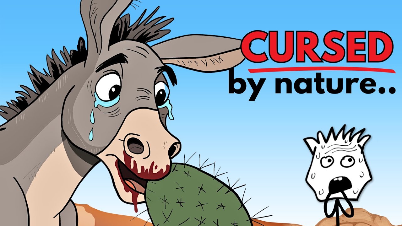 Why it sucks to be born as a donkey