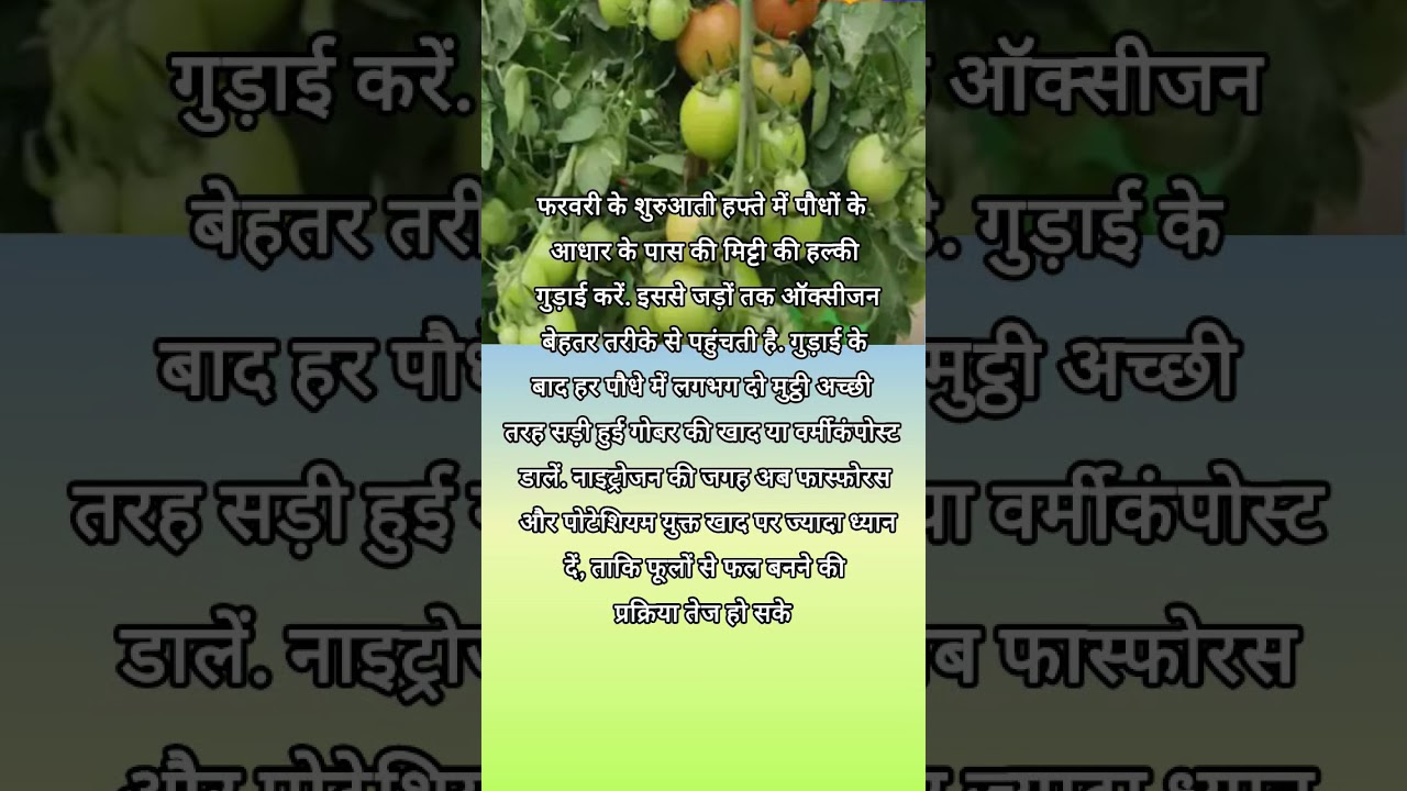 #trending #natureflowers #motivation #deshbhakti #naturephotography