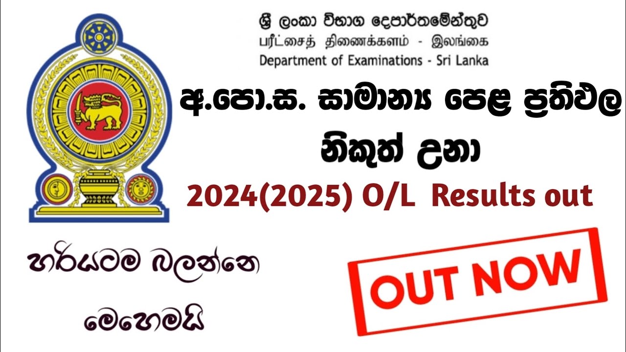 How to watch ol exam results 2024(2025) sinhala | ol results out | o/l exam results