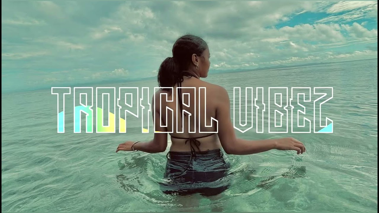 Goosebumps (Welzx Remix) 2024 🇸🇧