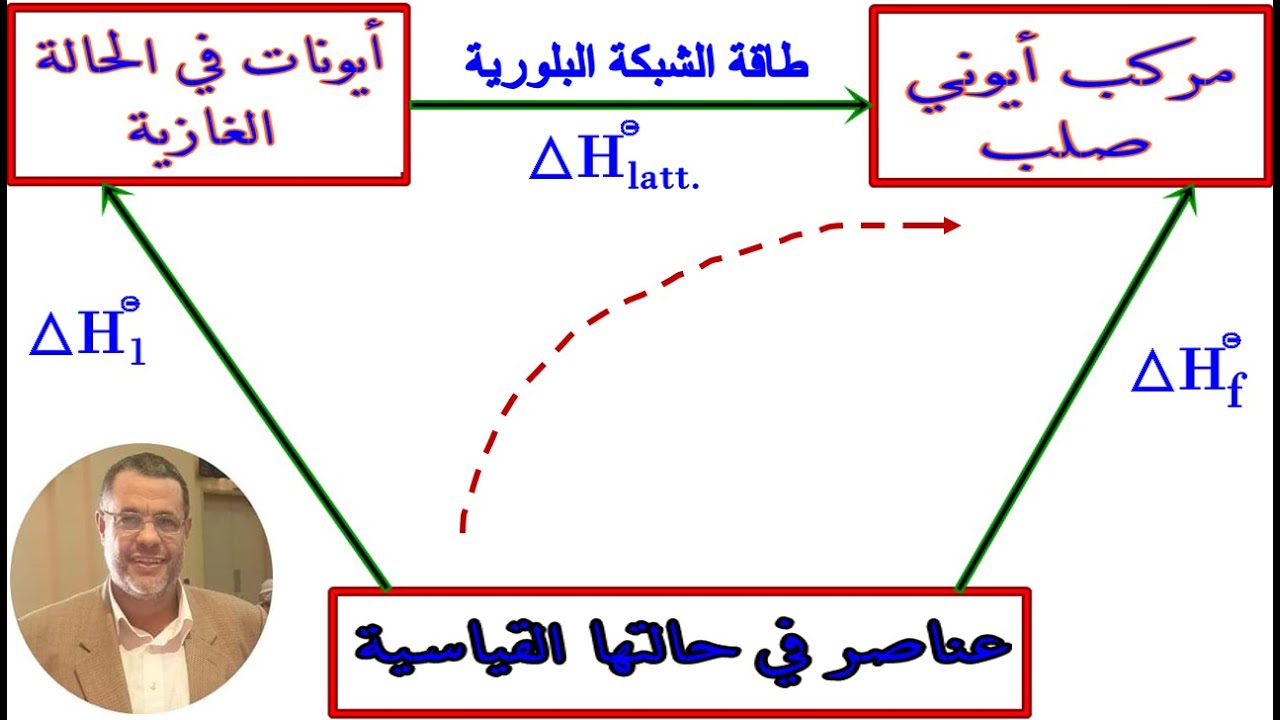 حلقات بورن - هابر