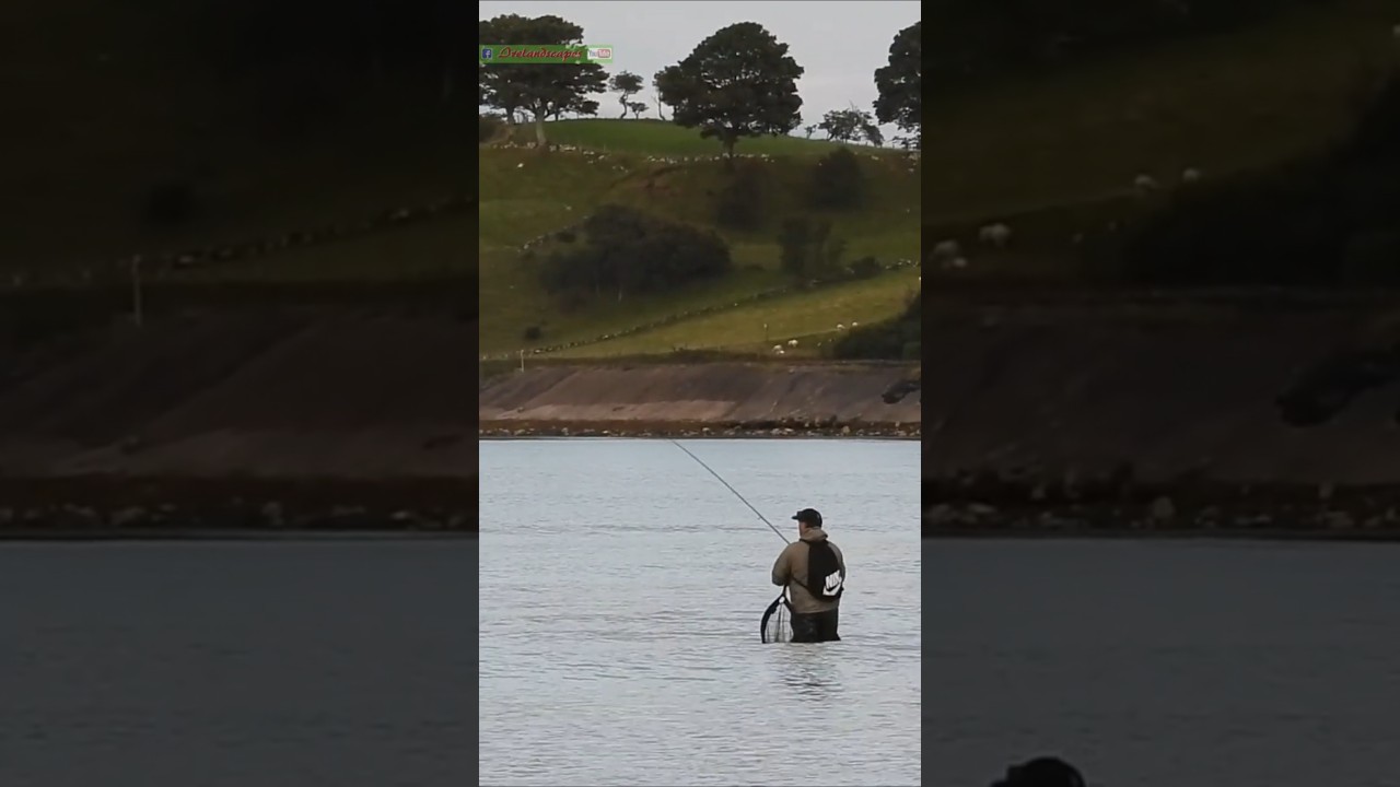 Sea Trout Fishing at Carnlough Bay - N Irish Fishing Scene