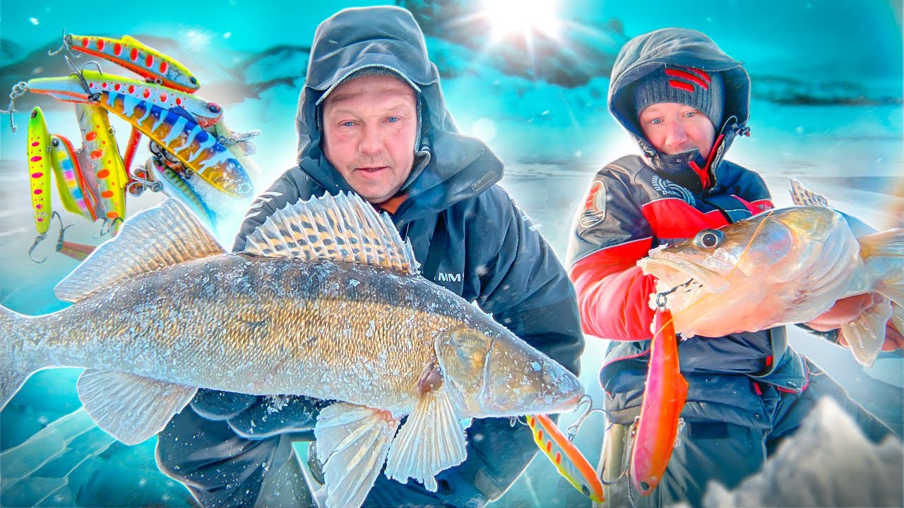 РЫБАЛКА В ГЛУХОЗИМЬЕ СУЩЕСТВУЕТ! | Море судаков и главный секрет зимней ловли трофея | 1 серия