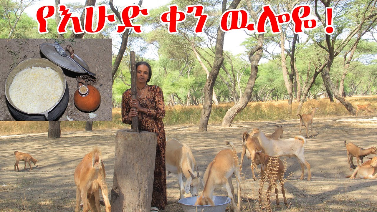 በበቀሎ የሰራሁት ጣፋጭ ምግብ!