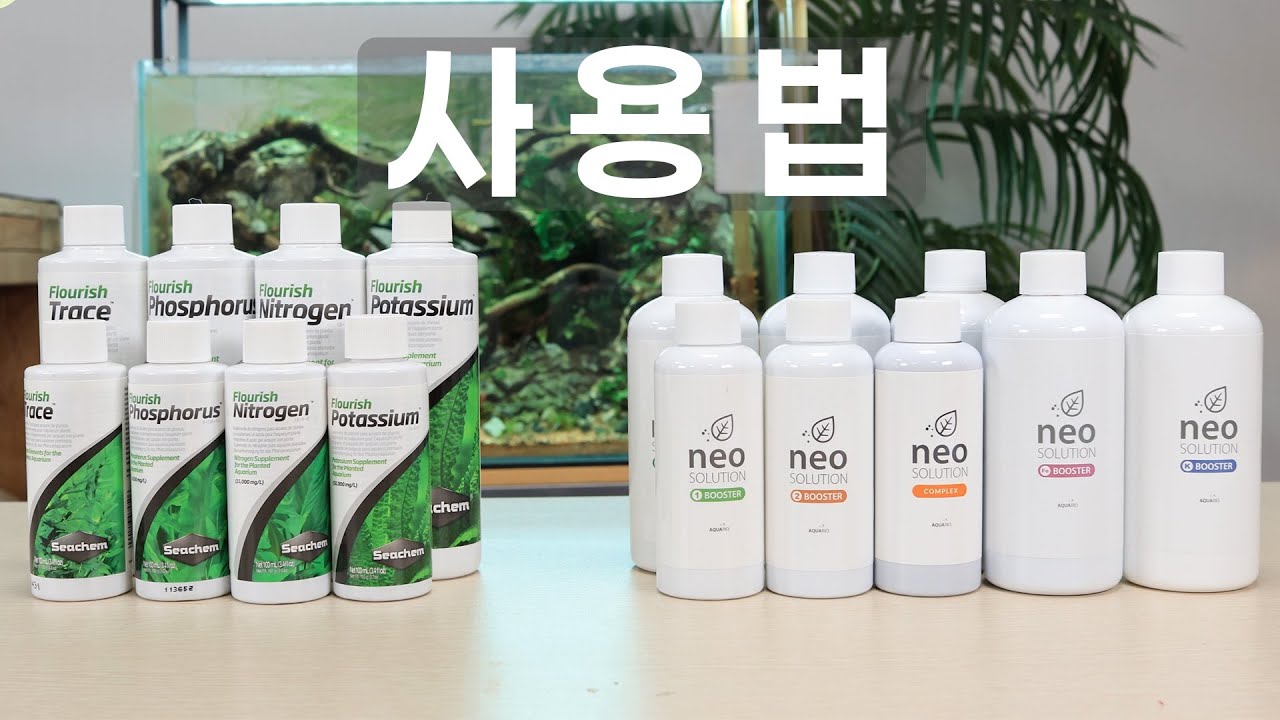 수초가 녹거나 색이변하거나 죽는 이유