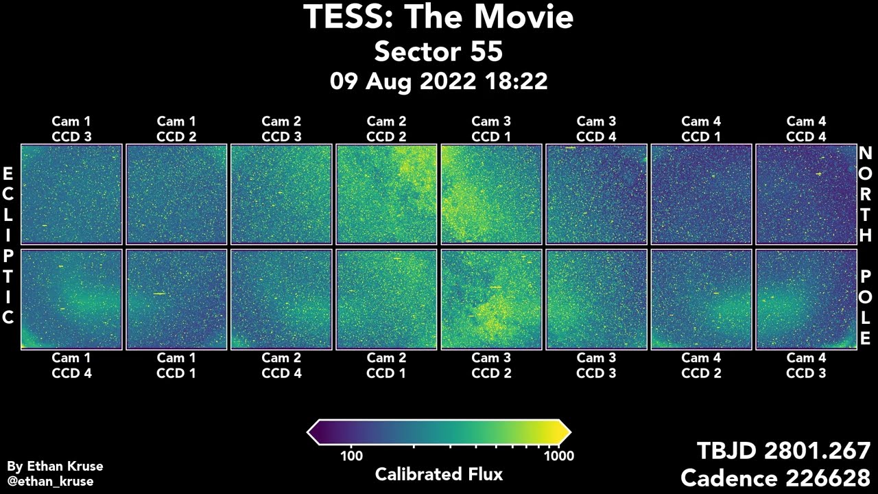 TESS: The Movie. Sector 55, Full Field of View