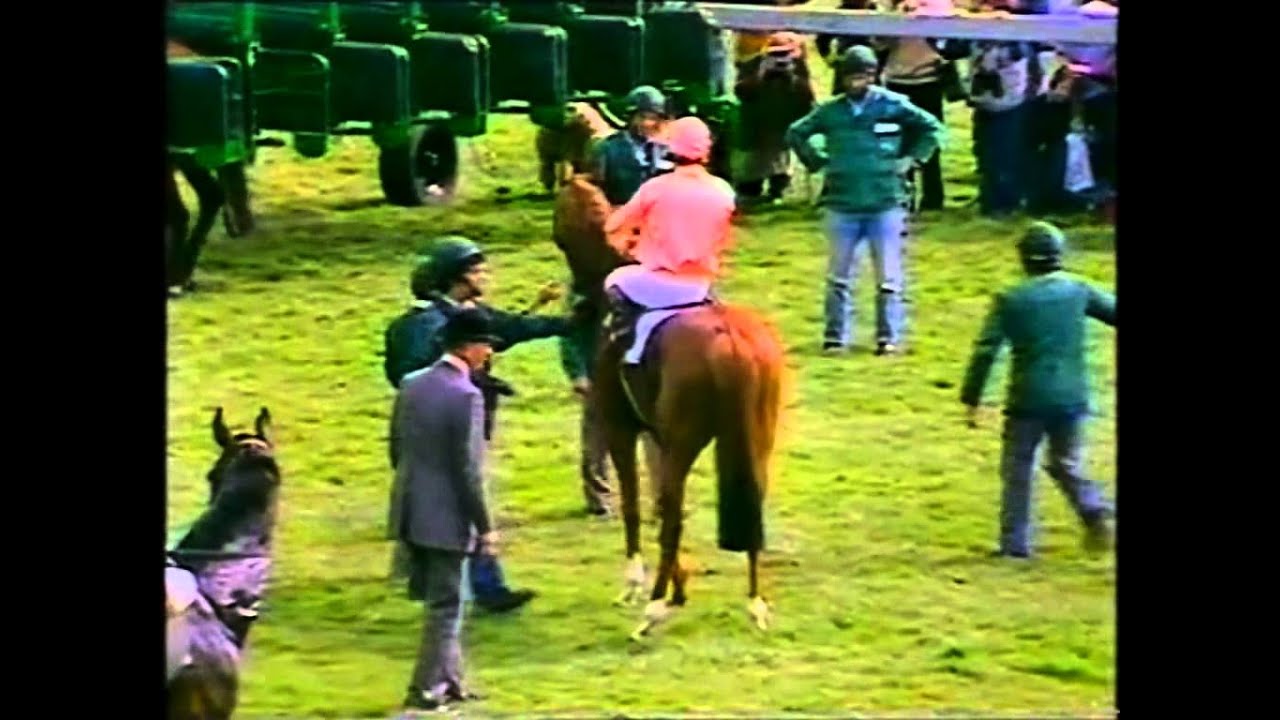 1983 2000 Guineas extended pre race footage Newmarket Lomond