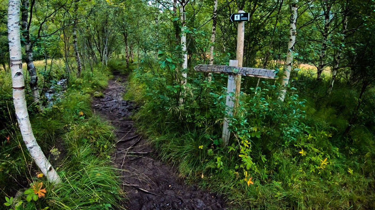 Hiking Guide: Finnkonnakken in Bodo