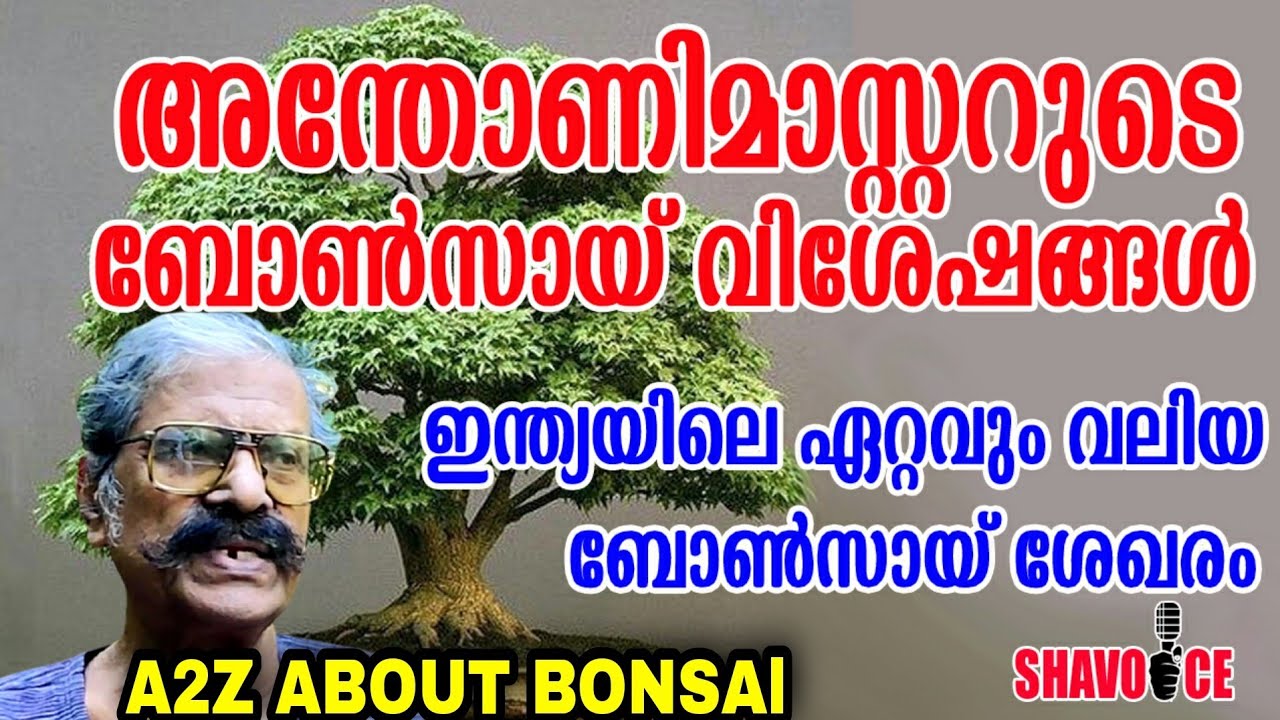അന്തോണിമാസ്റ്ററുടെ ബോൺസായ് വിശേഷങ്ങൾ BONSAlS OF ANTONY MASTER