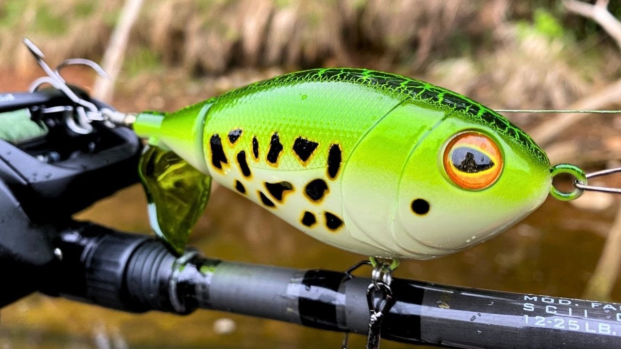 Frog Plopper vs. LOADED River