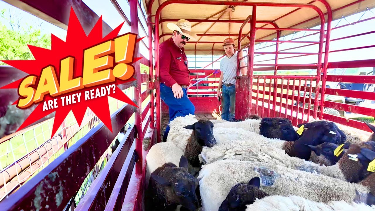 Ranch Life: The Struggles You Never Knew Existed