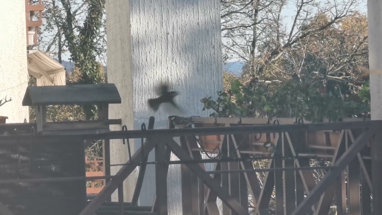 Gneča na balkonu I