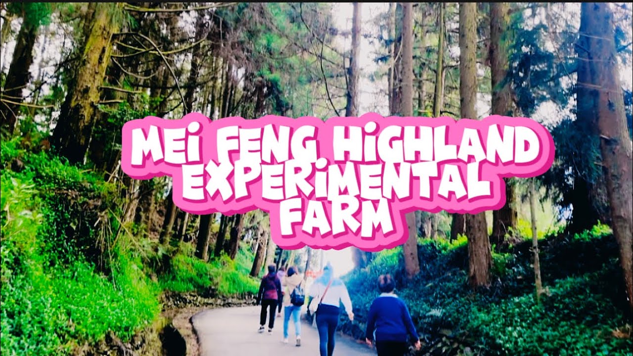 MEI FENG HIGHLAND EXPERIMENTAL FARM || HIKING ADVENTURE